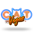 Cat in Vegas